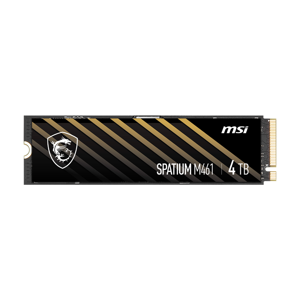 SPATIUM M461 PCIe 4.0 NVMe M.2 4TB