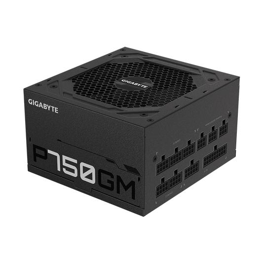 GIGABYTE GP750GM GOLD 750W Fully Modular Power Supply - Black